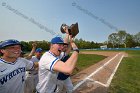 Baseball vs Babson  Wheaton College Baseball players celebrate their victory over Babson to win the NEWMAC Championship for the third year in a row. - (Photo by Keith Nordstrom) : Wheaton, baseball, NEWMAC